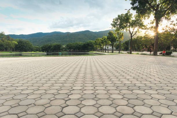 Best Driveway Pavers Near Me  in Lake Alfred, FL