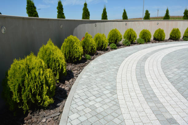 Best Best Driveway Pavers  in Lake Alfred, FL