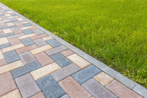 Best Driveway Repair Near Me  in Lake Alfred, FL